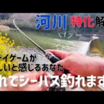 【初心者必見】デイシーバスの釣り方・ポイント選び(実釣動画あり)