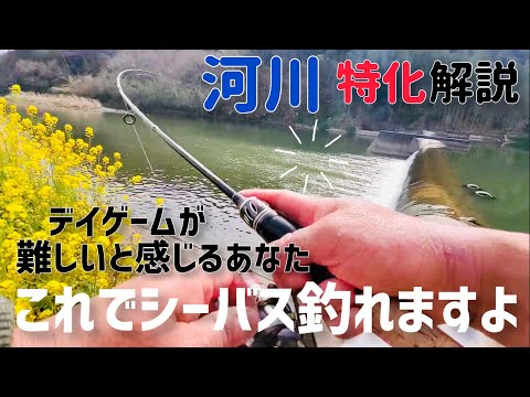 【初心者必見】デイシーバスの釣り方・ポイント選び(実釣動画あり)