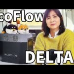 売上ランキング１位のポータブル電源を使ってみたらやっぱり凄かった。【EcoFlow DELTA2】
