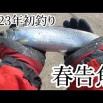 北海道 留萌方面 ～2023年初フィッシング❣ 今年初めての釣りはニシンのサビキ釣り～ 群来は来ているのか？ 釣果はいかに？ 【リターンアングラーのニシン釣りスキルアップVlog】