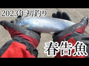 北海道 留萌方面 ～2023年初フィッシング❣ 今年初めての釣りはニシンのサビキ釣り～ 群来は来ているのか？ 釣果はいかに？ 【リターンアングラーのニシン釣りスキルアップVlog】