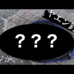 【ヤエン釣り】ヤエンでこいつが釣れるかww