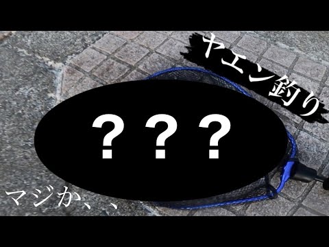 【ヤエン釣り】ヤエンでこいつが釣れるかww