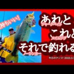 【今日のナンコ！2023.3.19】あれとこれとそれで釣れる！【琵琶湖バス釣り】