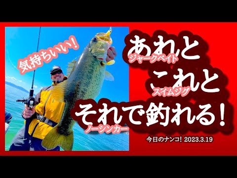 【今日のナンコ!2023.3.19】あれとこれとそれで釣れる!【琵琶湖バス釣り】