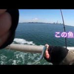 釣りママ日記vol.190愛知県知多郡