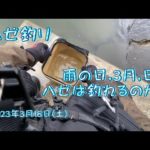 【ハゼ釣り】 雨の日,3月,日中 ハゼは釣れるのか？ 2023年3月18日