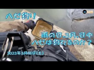【ハゼ釣り】 雨の日,3月,日中 ハゼは釣れるのか？ 2023年3月18日