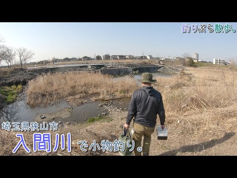 狭山市 入間川 田島屋堰で小物釣り。人気のイオン裏はどんな感じ？