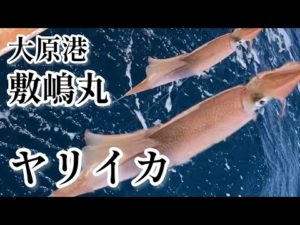 【外房イカ釣り】第二敷嶋丸で外房のヤリイカ釣りへ2023年3月19日