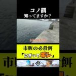 【秘】集魚材を固めオモリにしたらめちゃ釣れる