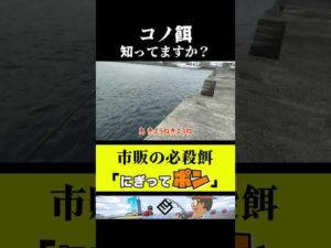 【秘】集魚材を固めオモリにしたらめちゃ釣れる