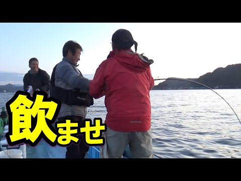 青アジが釣れたので飲ませ釣りをやってみたら