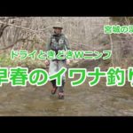 早春のイワナ釣り / ドライときどきWニンフ / 宮城の渓流  / みちのく釣りの旅  ﾌﾗｲﾌｨｯｼﾝｸﾞ渓流釣り(4K) fly fishing