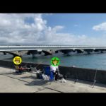 【釣りキャン】浜名湖で自由を満喫