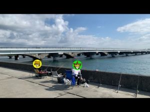【釣りキャン】浜名湖で自由を満喫