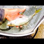 【閲覧注意】本当は教えたくない、大物一発の衝撃の裏技！！