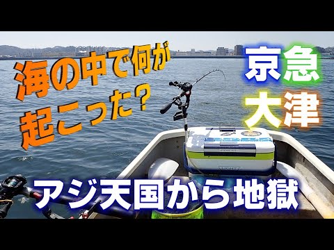 【ボート釣り】京急大津・アジ&泳がせ釣り アジ絶好調でスタートするも突如大津の海から消えてしまった!ヤマダ電機沖のポイント伝授
