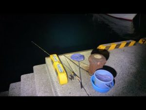 【アジ釣りライブ】この釣りには必勝法があります