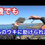 磯チヌの打開策は遠矢ウキでした【フカセ釣り】