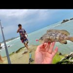 スーパーで激安50円のイカでする釣りがヤバい