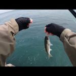 釣りママ日記vol.192愛知県知多郡