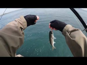 釣りママ日記vol.192愛知県知多郡