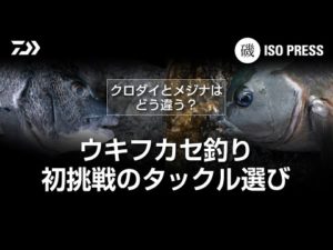 クロダイとメジナはどう違う？  ウキフカセ釣り初挑戦のタックル選び【月刊磯PRESS 2023年3月号】