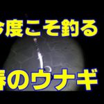 春のウナギ釣り再び！