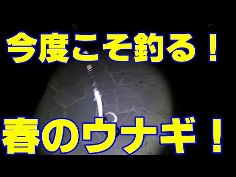 春のウナギ釣り再び！
