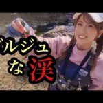 【渓流釣り】ゴルジュな渓を楽しんだ後、あの方にお会いすることが出来ました。