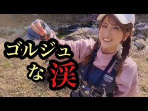 【渓流釣り】ゴルジュな渓を楽しんだ後、あの方にお会いすることが出来ました。