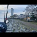 琵琶湖バス釣りライブR5-3/31