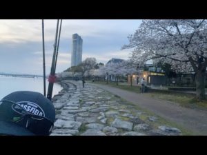 琵琶湖バス釣りライブR5-3/31