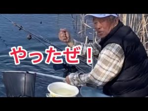 ヘラ鮒釣り　ジャミの中からヘラ鮒を釣る