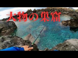 誰も釣りをしない離島の磯は浅瀬すらも大物の巣窟になっていた