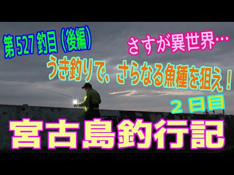 釣り動画ロマンを求めて 527釣目（宮古島・2日目・後編）