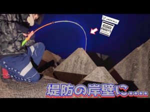 【穴釣り】堤防岸壁で釣りしてたら.....ジャッカル　ダイワ　コロネット　エッグアーム