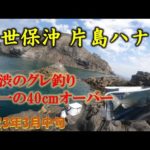 【磯釣り】喰い渋りの佐世保沖磯でグレ釣り
