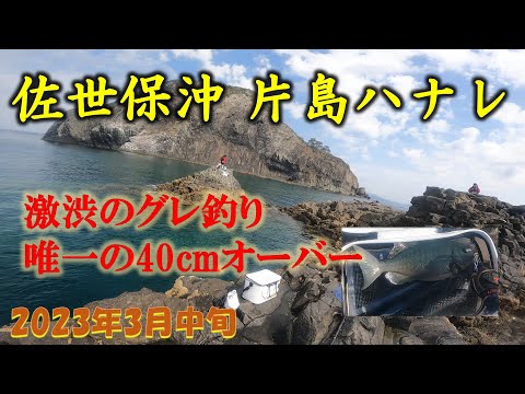 【磯釣り】喰い渋りの佐世保沖磯でグレ釣り