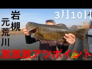 【埼玉バス釣りポイント】岩槻の元荒川！噂のデカバスエリア！スモールマウスバス【バス釣り】