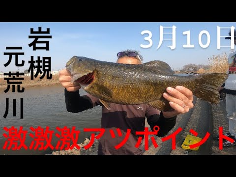 【埼玉バス釣りポイント】岩槻の元荒川!噂のデカバスエリア!スモールマウスバス【バス釣り】
