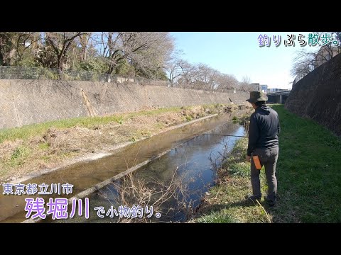東京都立川市 残堀川で小物釣り。またまた面白い場所を見つけました！