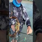 【釣り】この大きなカニはかなりの値打ちがあるだろう|This big crab is worth a lot of money#釣り #fishing #shorts