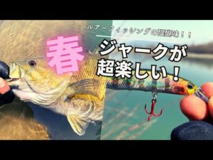 まだ間に合う！春はジャークが【超楽しい】春のバス釣り。
