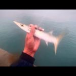 この衝撃の怪物祭を見て欲しい。