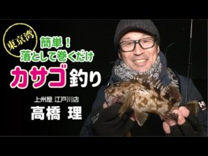 簡単！落として巻くだけ・東京湾カサゴ釣り