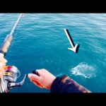 ただただ、この大爆釣を見て欲しい。