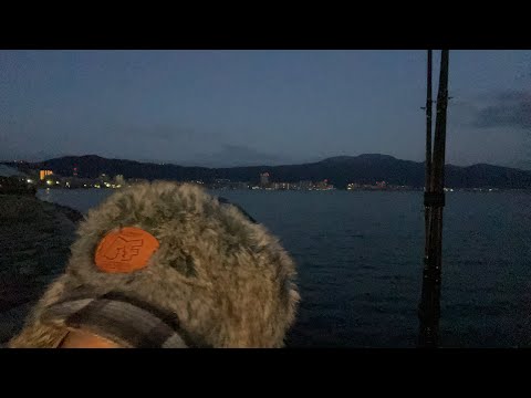 琵琶湖バス釣りライブR5-3/3