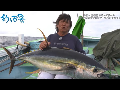 【釣り百景】#479 カジキ・キハダとの奮闘！沖縄・石垣島で ビッグゲーム